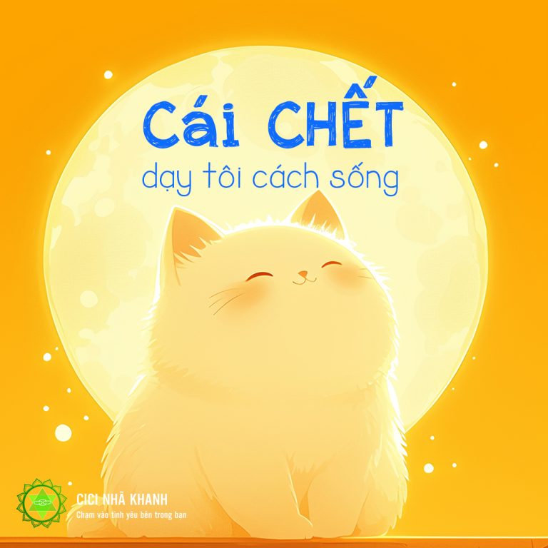 Cái Chết Dạy Tôi Cách Sống