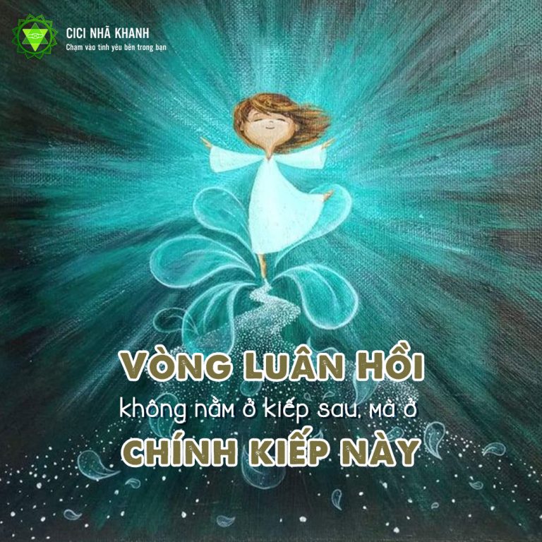Vòng luân hồi không nằm ở kiếp sau, mà ở chính kiếp này
